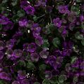 Floristik24 Boule décorative violette en fleurs boule végétale artificielle Ø15cm 1pc