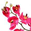 Floristik24 Orchidée décorative fuchsia 77 cm