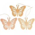Floristik24 Déco papillons déco cintre orange/rose/jaune 12cm 12pcs