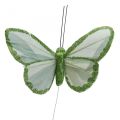 Floristik24 Papillons déco papillons plumes vertes sur fil 10cm 12pcs