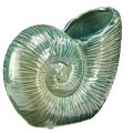 Floristik24 Vase décoratif coquille d&#39;escargot en céramique vert 18x8,5x15,5cm