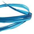 Floristik24 Déco raphia bicolore bleu 200m