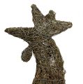 Floristik24 Coq figurine déco en vigne naturelle 45cm