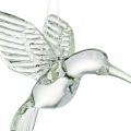 Floristik24 Décoration colibri, décoration en verre, oiseau de paradis, pendentif en verre, décoration oiseau