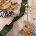 Satin ruban en taffetas vert 40 mm 5 m pour emballages cadeaux | Floristik24.fr