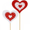 Floristik24 Bouchon décoratif coeur, décoration de mariage, décoration florale pour la Saint Valentin, décoration coeur 18pcs