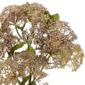 Floristik24 Branche décorative orpin rose clair 58 cm