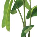 Floristik24 Branche décorative branche de haricot plante artificielle verte 95cm