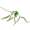 Floristik24 Branche décorative branche de piment plante artificielle pepperoni vert rouge 78cm