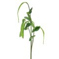 Floristik24 Branche décorative branche de haricot plante artificielle verte 95cm