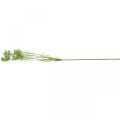 Aneth fleuri, plante artificielle, herbes artificielles vert, blanc L80cm