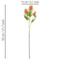 Künstliche fleur de carthame orange 55 cm pour décoration intérieure, lot de 4 | Floristik24.fr