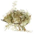 Floristik24 Guirlande de chardon Globe chardon guirlande de décoration végétale artificielle 127cm