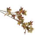 Branche d'érable artificielle avec feuilles et fruits décoratifs 132 cm | Floristik24.fr