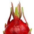 Floristik24 Fruit du dragon 15cm rouge 1 pièce