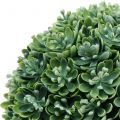 Floristik24 Boule d’echeveria artificiel vert Ø 18 cm