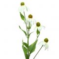 Floristik24 Fleur d&#39;échinacée artificielle blanche 90cm