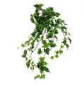 Floristik24 Cintre Ivy 80cm blanc-vert