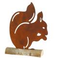 Floristik24 Patine écureuil sur le socle en bois 19cm x 25cm