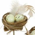Floristik24 Plug déco nid d&#39;oiseau, décoration de Pâques, nid avec oeufs 23cm 6pcs