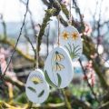 Floristik24 Oeufs à suspendre, oeufs de Pâques en bois, motif fleur, perce-neige pissenlit Winterling H14cm 3pcs