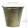Floristik24 Pot métal, seau à planter, jardinière Ø20cm H17cm