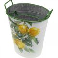 Floristik24 Pot méditerranéen en étain, jardinière motif citron blanc, vert, jaune H43,5/34cm L36,5/27,5cm lot de 2