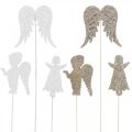 Floristik24 Plug de l&#39;Avent ange, ailes à coller, ange en bois, décoration noël nature, blanc, paillettes dorées 18pcs