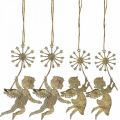 Floristik24 Ange avec pissenlit, décoration de Noël, pendentif décoratif, décoration en métal doré aspect antique H16/15cm 4pcs