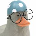 Floristik24 Canard déco avec lunettes et bonnet de bain gris 10,5cm 4pcs