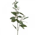 Branche d&#39;eucalyptus artificielle avec bourgeons déco branche 60cm