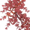 Floristik24 Couronne décorative eucalyptus rouge Couronne artificielle d&#39;eucalyptus Ø32cm