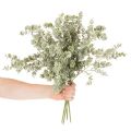 Branche d'Eucalyptus Artificielle 49 cm Vert Lot de 4 | Floristik24.fr