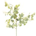 Floristik24 Branche de faux eucalyptus avec feuilles rondes 75 cm lot de 4