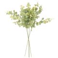Branche de faux eucalyptus