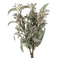 Floristik24 Kunstzweige eucalyptus artificiels lot de 3 vert 53 cm décoration intérieure