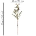 Kunstzweige eucalyptus artificiels lot de 3 vert 53 cm décoration intérieure | Floristik24.fr