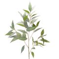 Floristik24 Branche d’eucalyptus artificielle verte nature 100 cm