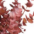 Floristik24 Décoration automne branche d&#39;eucalyptus rouge Eucalyptus artificiel 36cm