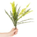 Branche de fougère artificielle verte 45 cm pour décoration intérieure | Floristik24.fr