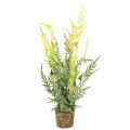 Floristik24 Kunstpflanze fougère avec motte, 57 cm, décoration intérieure