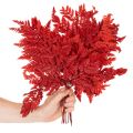 Rameaux de fougère conservée rouge 42 cm lot de 10 | Floristik24.fr