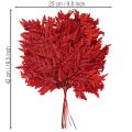 Rameaux de fougère conservée rouge 42 cm lot de 10 | Floristik24.fr