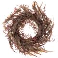 Floristik24 Couronne décorative artificielle en branches de fougère 35 cm
