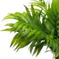 Floristik24 Feuilles de palmier décoration de palmier plantes artificielles vert 30cm 3pcs