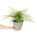 Künstlicher Farn en pot décoratif pour intérieur 35 cm | Floristik24.fr