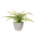 Künstlicher Farn en pot décoratif pour intérieur 35 cm | Floristik24.fr