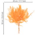 Brin de fougère conservé orange 60 cm set de 10 pour décorations | Floristik24.fr