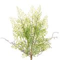 Floristik24 Branche artificielle de ruscus vert 41 cm pour décoration florale