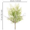 Branche artificielle de ruscus vert 41 cm pour décoration florale | Floristik24.fr